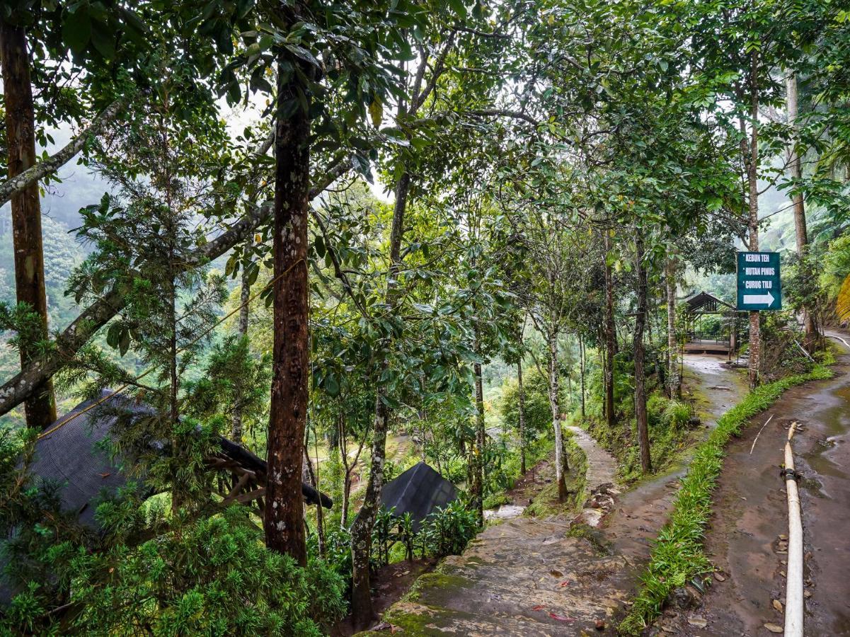 Oyo Homes 90915 Eco Tourism Desa Cihanjuang Rahayu Ciwangun Indah Camp Villas Bongkar Dış mekan fotoğraf
