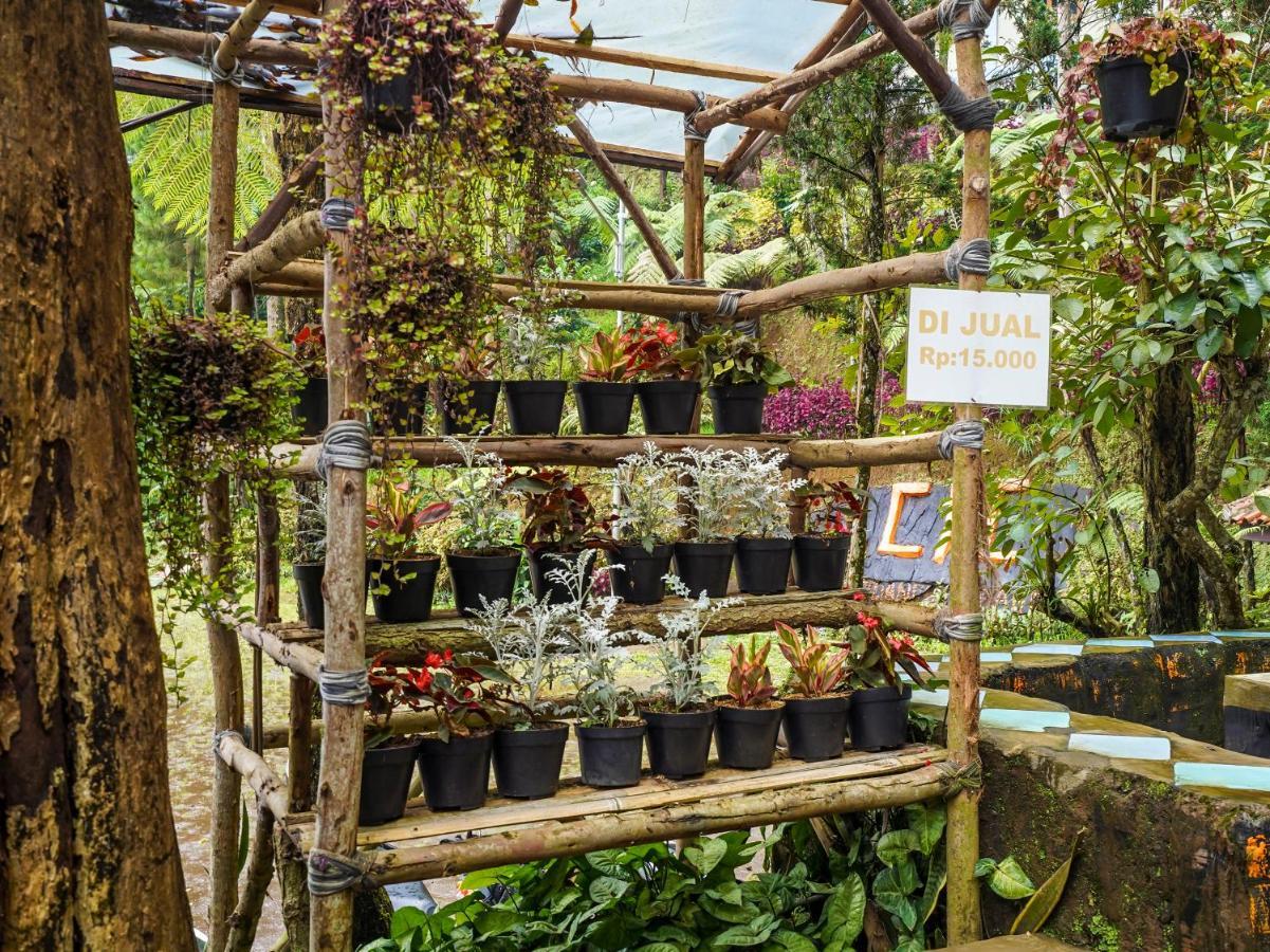 Oyo Homes 90915 Eco Tourism Desa Cihanjuang Rahayu Ciwangun Indah Camp Villas Bongkar Dış mekan fotoğraf