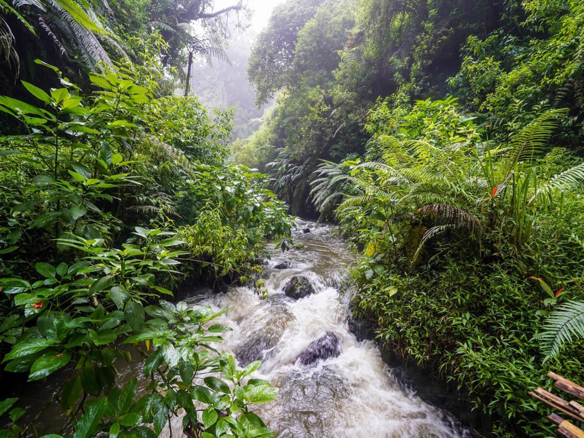 Oyo Homes 90915 Eco Tourism Desa Cihanjuang Rahayu Ciwangun Indah Camp Villas Bongkar Dış mekan fotoğraf