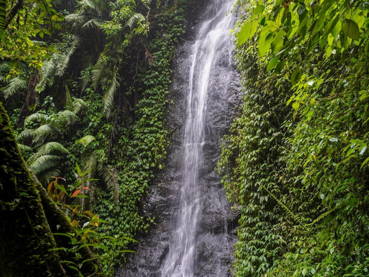 Oyo Homes 90915 Eco Tourism Desa Cihanjuang Rahayu Ciwangun Indah Camp Villas Bongkar Dış mekan fotoğraf