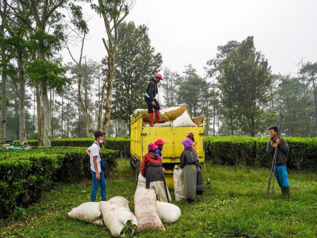Oyo Homes 90915 Eco Tourism Desa Cihanjuang Rahayu Ciwangun Indah Camp Villas Bongkar Dış mekan fotoğraf