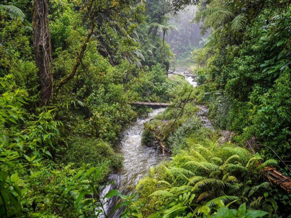 Oyo Homes 90915 Eco Tourism Desa Cihanjuang Rahayu Ciwangun Indah Camp Villas Bongkar Dış mekan fotoğraf